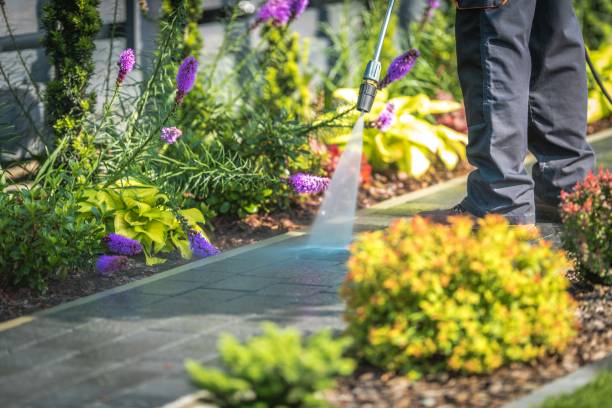 Best Brick and Stone Cleaning in Pocomoke City, MD
