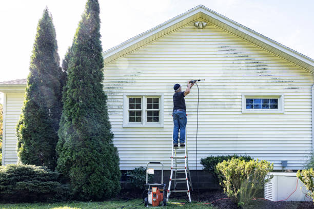 Trusted Pocomoke City, MD Pressure Washing Services Experts